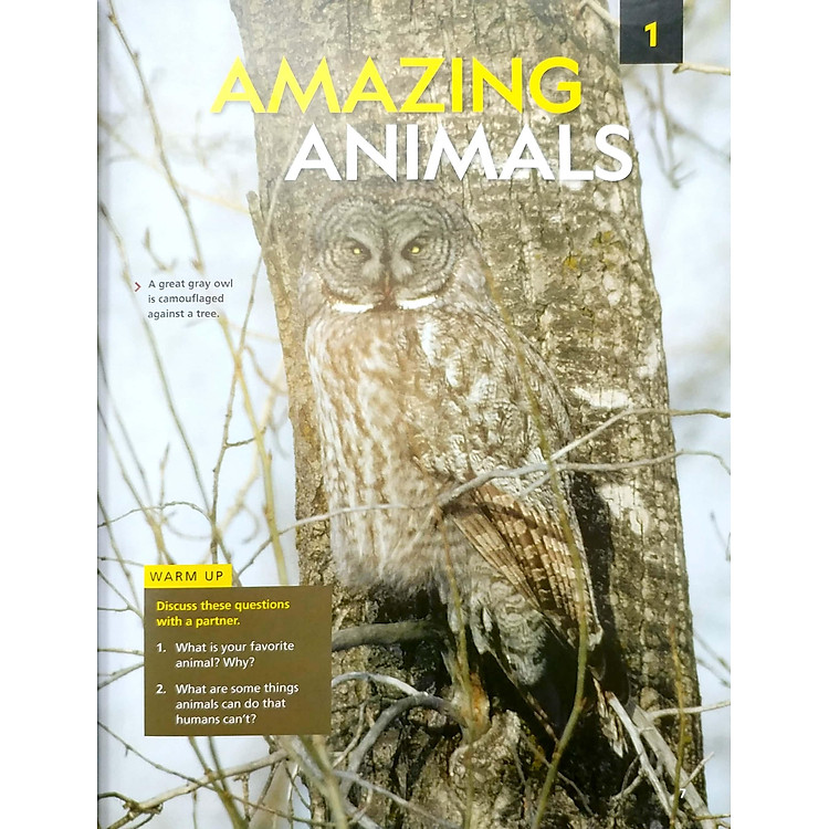 Reading Explorer 1 - Student's Book With The Spark Platform (Third Edition) - Ảnh 6