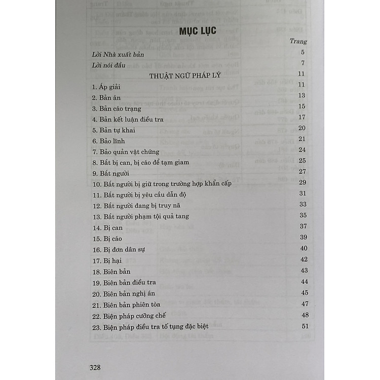 Thuật Ngữ Pháp Lý Tố Tụng Hình Sự - Ảnh 3
