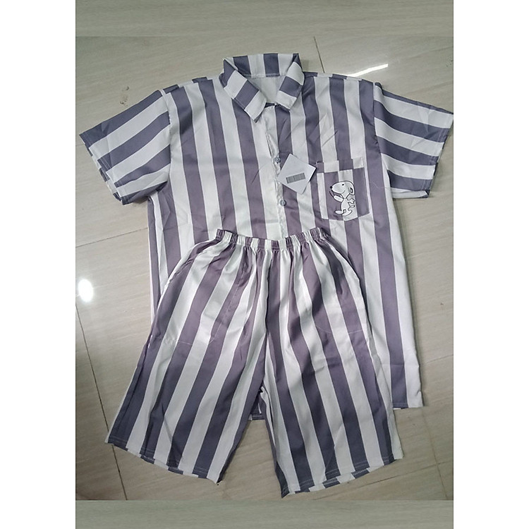 Bộ Quần Áo Nam Ngắn Tay Hình Kẻ Xọc - Thời Trang Hè - MenFashion - BN165