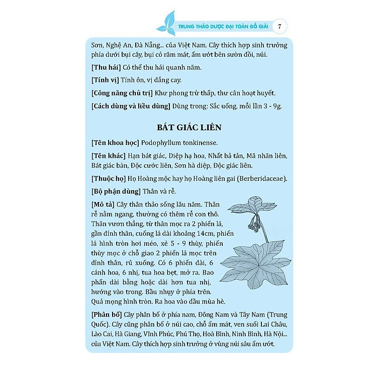 Trung Thảo Dược Đại Toàn - Đồ Giải - Ảnh 5