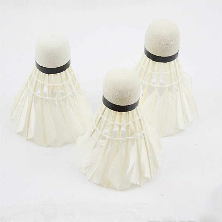 Hộp 12 quả cầu lông chính hãng Regail R603