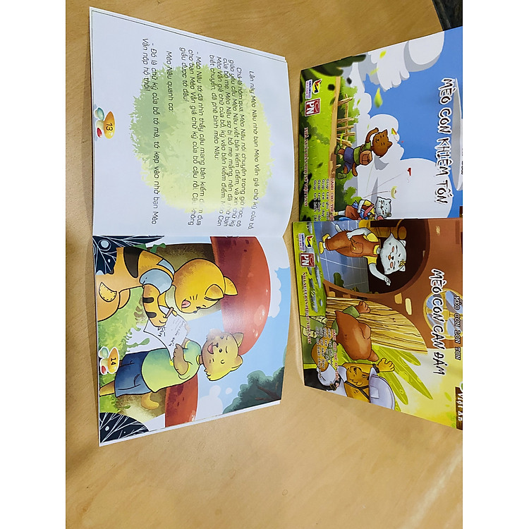 MÈO CON LON TON - Ảnh 3