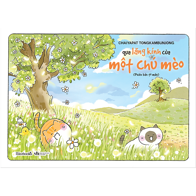 Qua Lăng Kính Của Một Chú Mèo