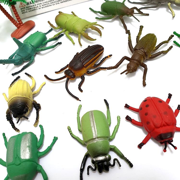 Mua Bộ 12 Bọ Cánh Cứng Safari cho bé Chính hãng Giá rẻ - Hình ảnh 5