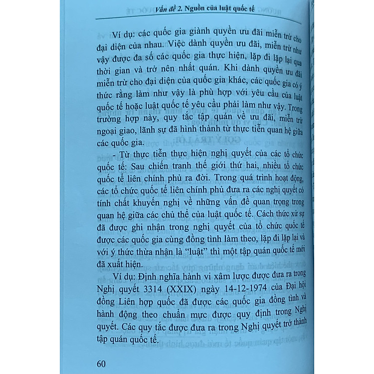 Hướng Dẫn Môn Học Công Pháp Quốc Tế (Tái Bản Năm 2023) - Ảnh 4