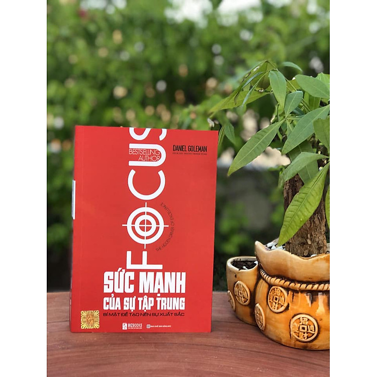 Sức Mạnh Của Sự Tập Trung - Bí Mật Để Tạo Nên Sự Xuất Sắc - Ảnh 2