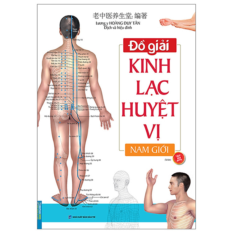 Đồ giải Kinh Lạc Huyệt Vị Nam giới