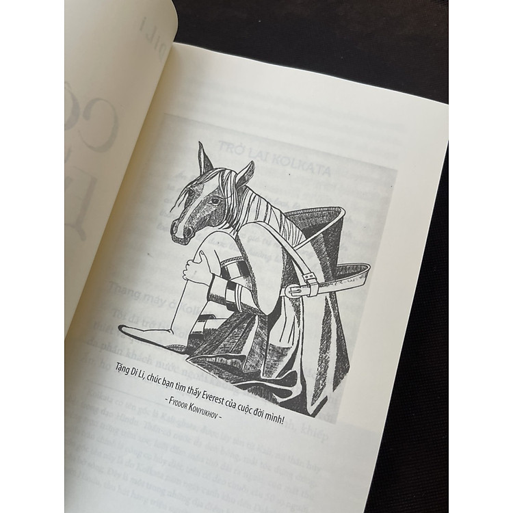 CÔ ĐƠN TRÊN EVEREST – Di Li - Ảnh 2