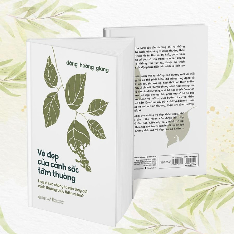 Vẻ Đẹp Của Cảnh Sắc Tầm Thường - Hay Vì Sao Chúng Ta Cần Thay Đổi Cách Thưởng Thức Thiên Nhiên - Ảnh 2