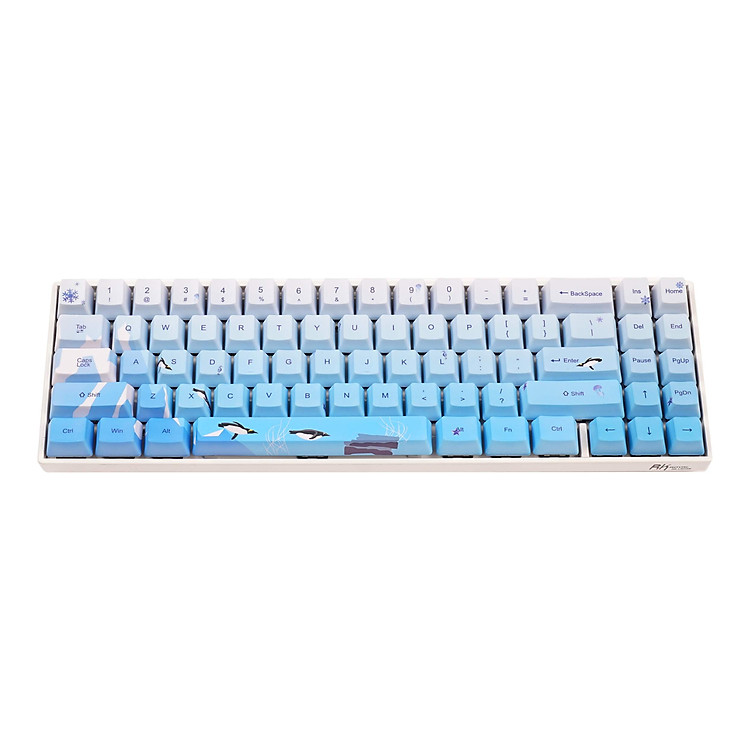 Bàn Phím Cơ Không Dây RK71 Phiên Bản Giới Hạn Nhiều Hoạ Tiết. Keycap PBT, công nghệ in Dye Sub. - Chính hãng Royal Kludge. Đủ màu sắc và Switch.