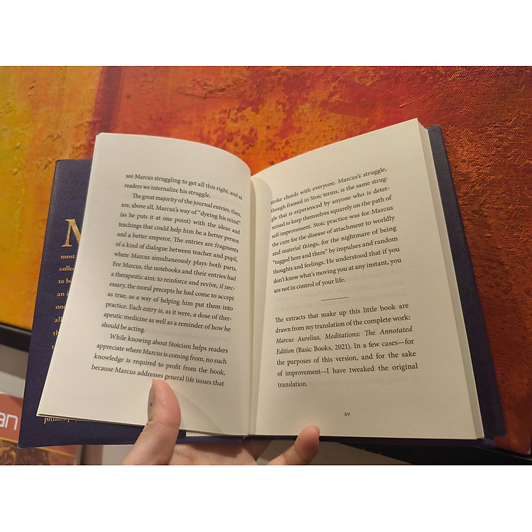 The Wisdom of Marcus Aurelius - Ảnh 6