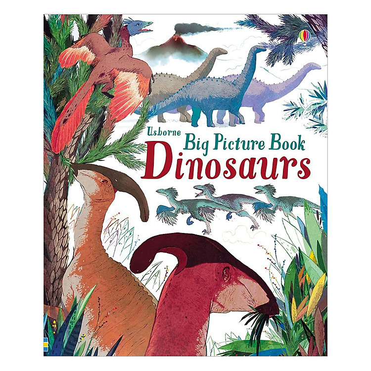 Sách Usborne Big Picture Book Dinosaurs