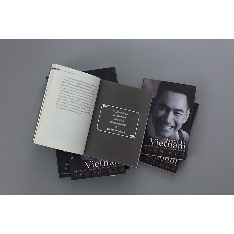 MADE IN VIETNAM - Ảnh 2