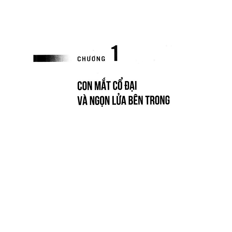 Khoa Học Và Khám Phá - Những Con Đường Của Ánh Sáng - Tập 1 (Tái Bản 2023) - Ảnh 4