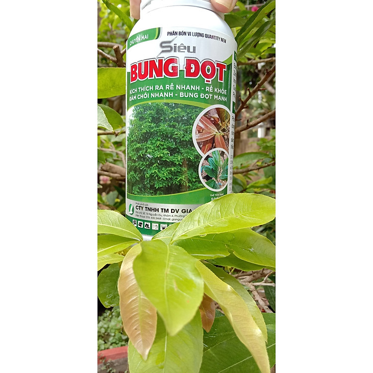 SIÊU BUNG ĐỌT CHUYÊN MAI (chai 500ml)