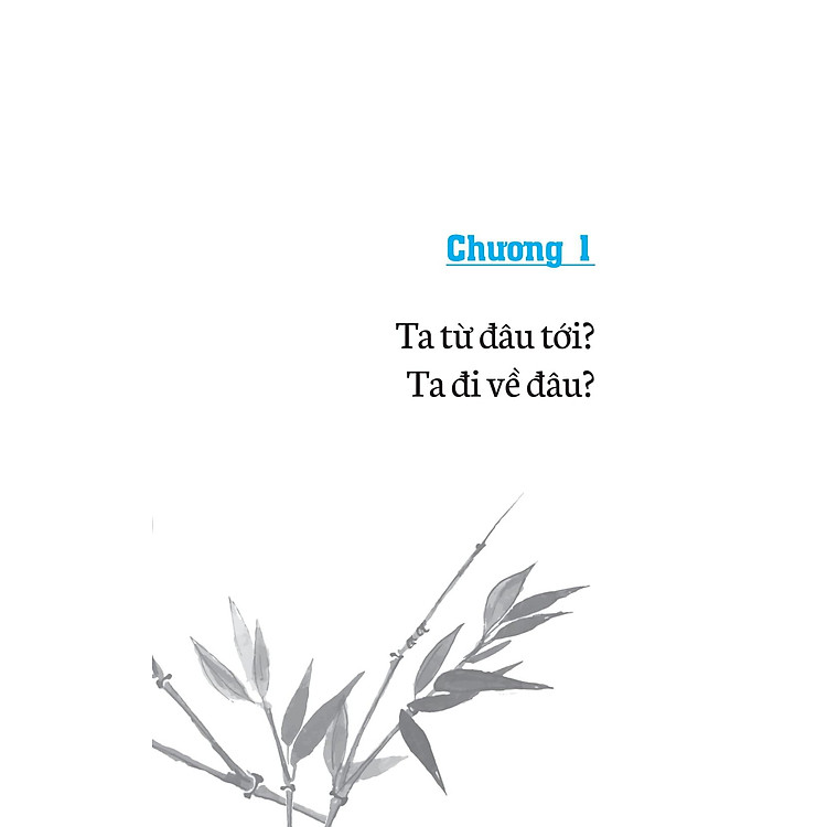 Không Diệt Không Sinh Đừng Sợ Hãi (Tái Bản 2022) - Ảnh 7