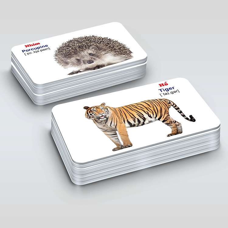 Bộ Thẻ Học Thông Minh - 416 Thẻ Flashcards Tiếng Anh (16 Chủ Đề) - Ảnh 7