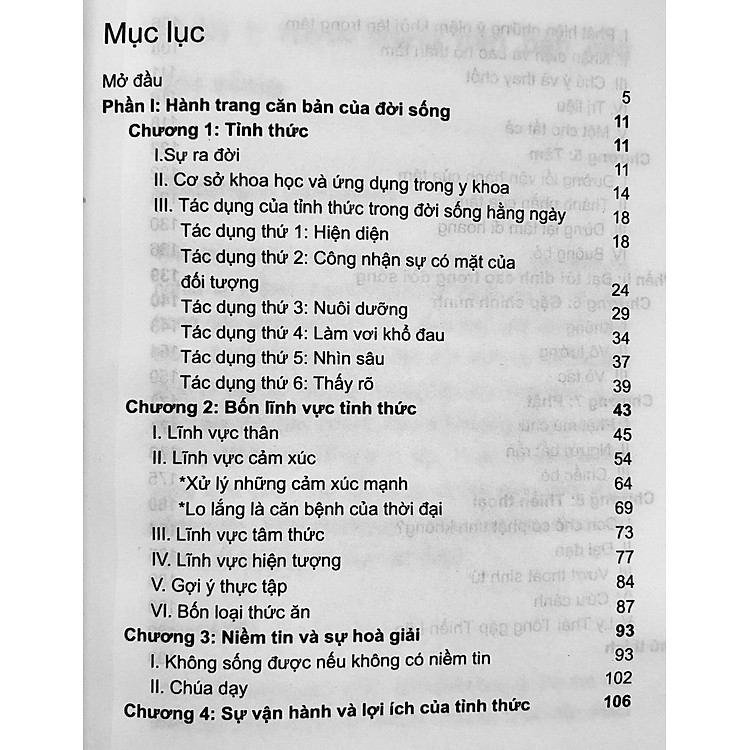 Gặp Chính Mình, Sống trong Tỉnh Thức - Ứng Dụng Trí Tuệ Đạo Phật vào Đời Sống - Ảnh 2