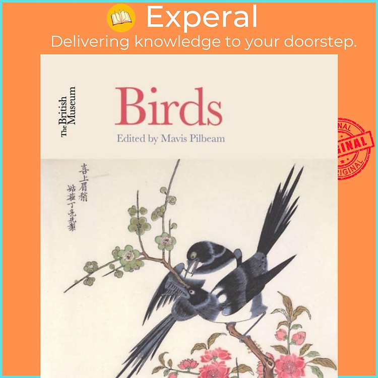 Sách - Birds by Mavis Pilbeam (UK edition, paperback)