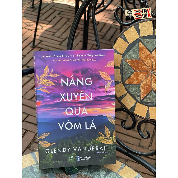 (A wall street Journal bestselling author) NẮNG XUYÊN QUA VÒM LÁ - Glendy Vanderah - 1980 Books - bìa mềm