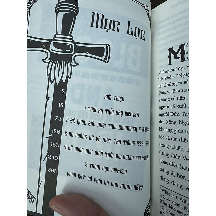 SỰ TRỖI DẬY VÀ SUY TÀN CỦA ĐẾ CHẾ THỨ 2 (LỊCH SỬ ĐẾ QUỐC ĐỨC 1871-1918) - Ảnh 3