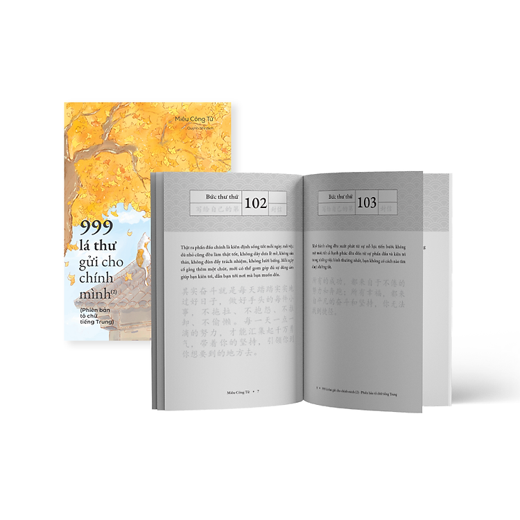 999 Lá Thư Gửi Cho Chính Mình – Phiên Bản Tô Chữ Tiếng Trung (2) - Ảnh 6
