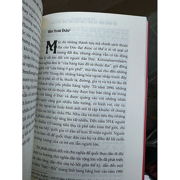 SỰ TRỖI DẬY VÀ SUY TÀN CỦA ĐẾ CHẾ THỨ 2 (LỊCH SỬ ĐẾ QUỐC ĐỨC 1871-1918) - Ảnh 4