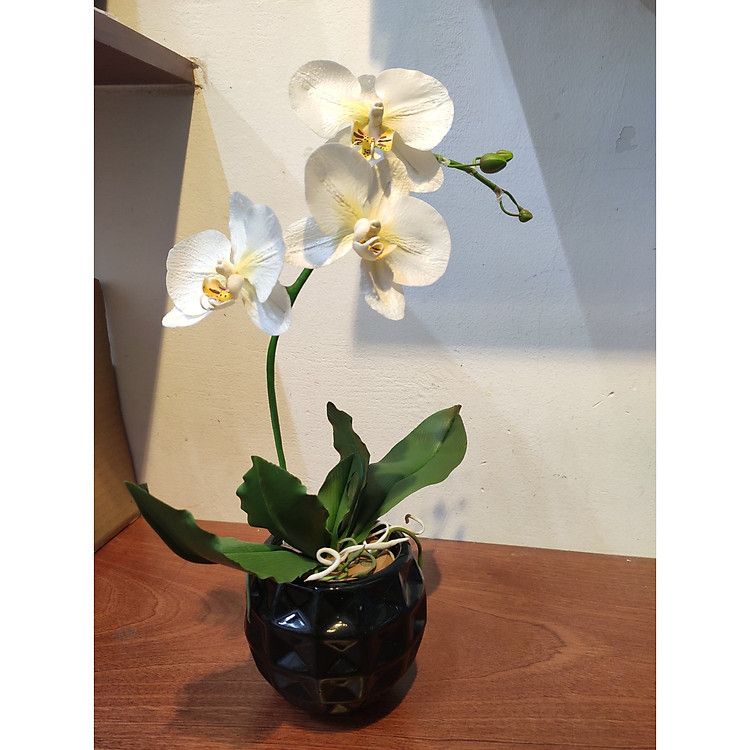 LỌ HOA TRANG TRÍ - HOA LAN LÀM BẰNG ĐẤT SÉT CAO CẤP