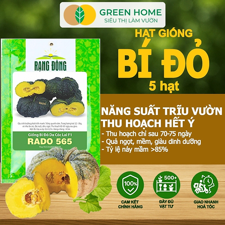 Hạt Giống Bí Đỏ Greenhome, Gói 5 Hạt, Dễ Trồng, Nảy Mầm Cao, Thu Hoạch Nhanh, Năng Suất Cao T03