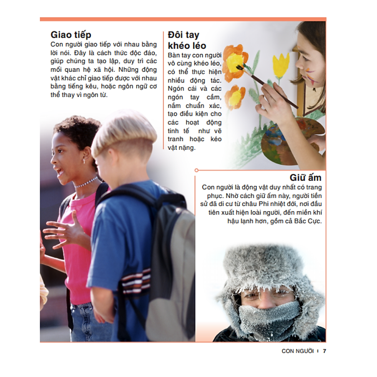 Tri Thức Trong Lòng Bàn Tay - Bách Khoa Thiếu Nhi Cơ Thể Con Người - Ảnh 2