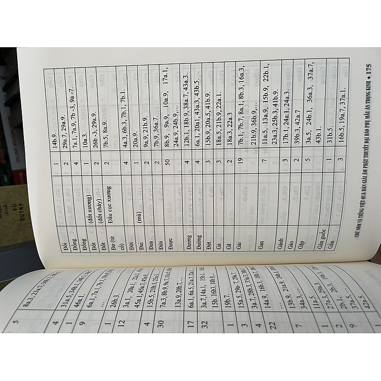 Chữ Nôm và Tiếng Việt qua Bản Giải Âm Phật Thuyết Đại Báo Phụ Mẫu Ân Trọng Kinh - Ảnh 6