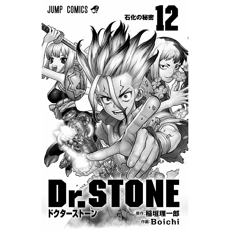 Dr. STONE 12 - Ảnh 2