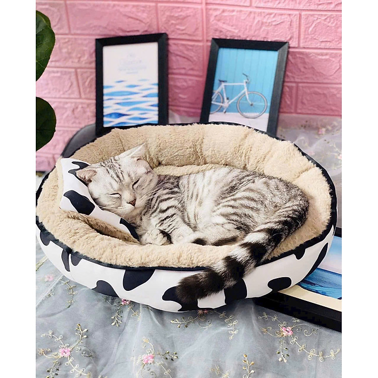 NỆM BÒ SỮA TRÒN SIÊU ÊM MỀM MỊN DƯỚI 6KG DÀNH CHO THÚ CƯNG CHÓ MÈO