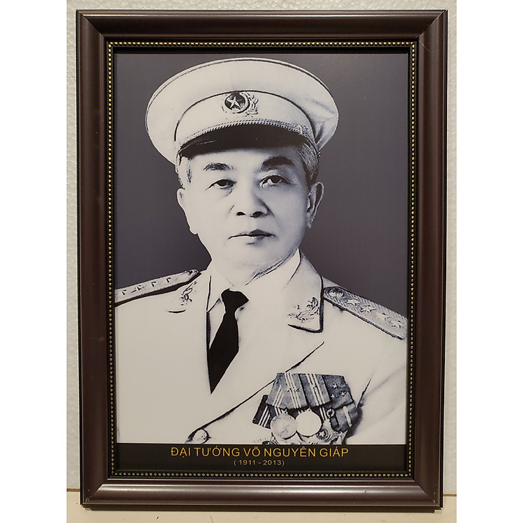 Ảnh gốc đen trắng chân dung Đại Tướng VÕ NGUYÊN GIÁP