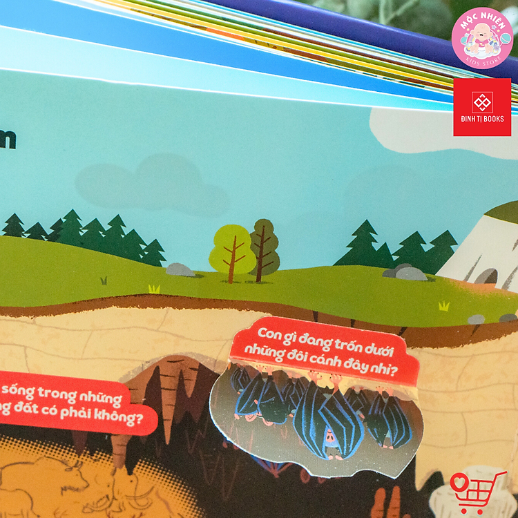 Hình Động Tương Tác – 1001 Câu Hỏi Đáp Về Thế Giới Quanh Ta - Ảnh 4