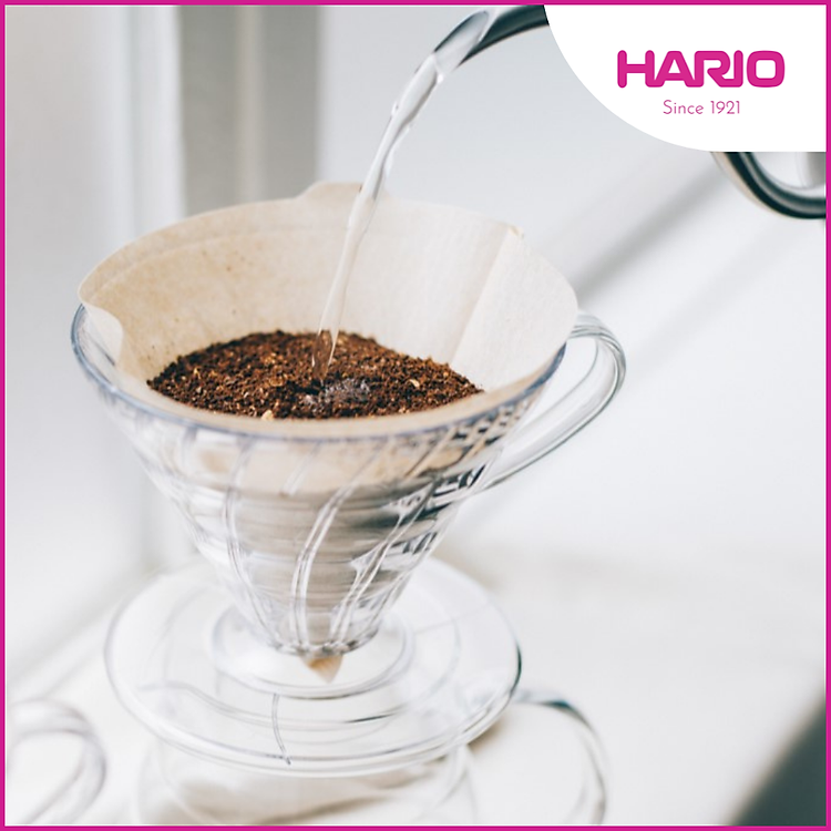 Phễu pha cà phê Hario V60 Coffee Dripper (phễu nhựa, 3 màu)