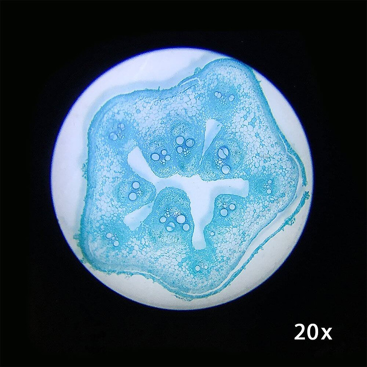 Kính Hiển Vi Soi Nổi Barska 20x, 50x Chính hãng Giá tốt - Hình ảnh 3