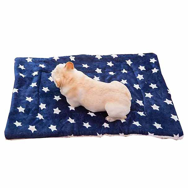Nệm thảm bông cho chó mèo đủ size lớn nhỏ (màu, mẫu giao ngẫu nhiên)