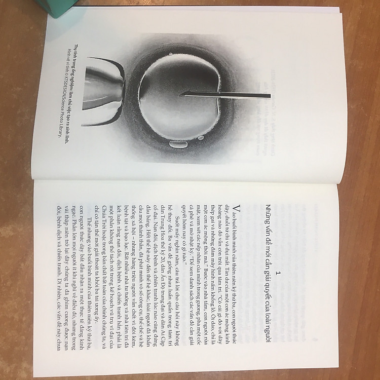 Sapiens - Lược Sử Loài Người - Ảnh 7