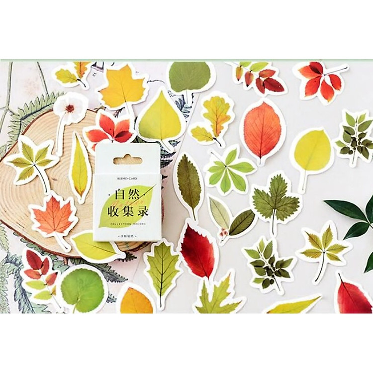 Hộp 46 Miếng Dán Sticker Trang Trí Hình Chiếc Lá