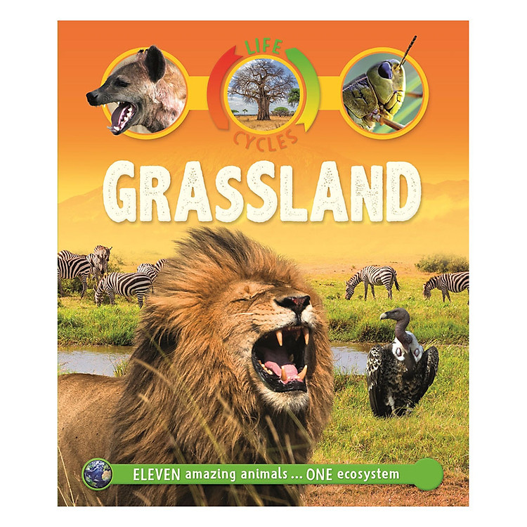 Sách Life Cycles: Grassland