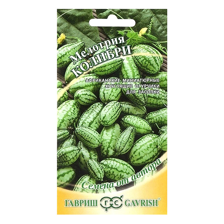 Hạt Giống Dưa Hấu Tí Hon Gavrish (20 Hạt) - Hàng Chính Hãng