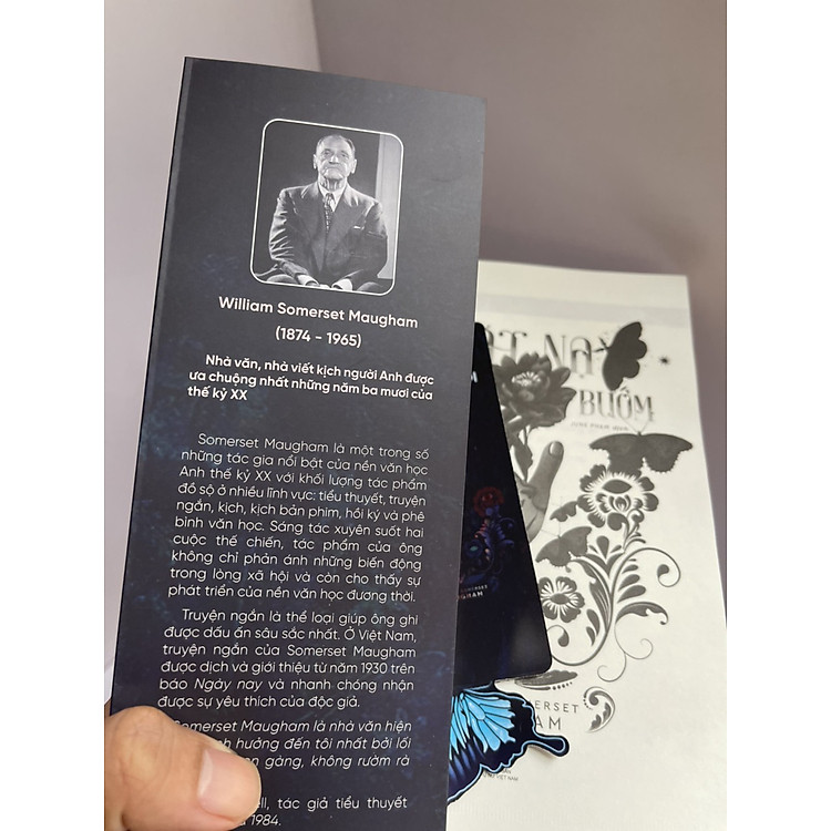 MẶT NẠ BƯƠM BƯỚM - Ảnh 3