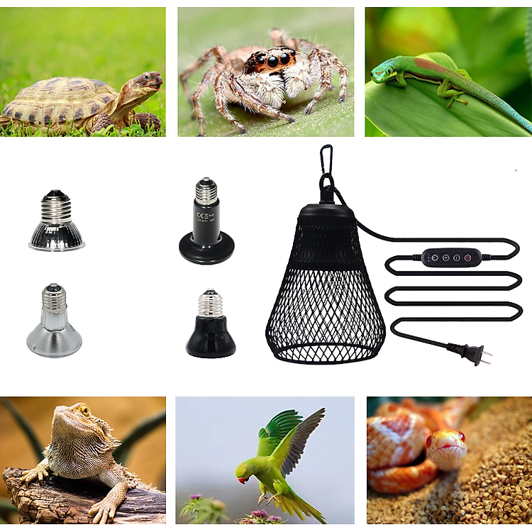 1 COMBO GỒM DÂY ĐIỀU CHỈNH NHIỆT KẾT HỢP CHỤP ĐÈN CAO CẤP VÀ BỘ HẸN GIỜ DÙNG SƯỞI ẤM CHO CHIM, VẸT, BÒ SÁT, CHÓ, MÈO...