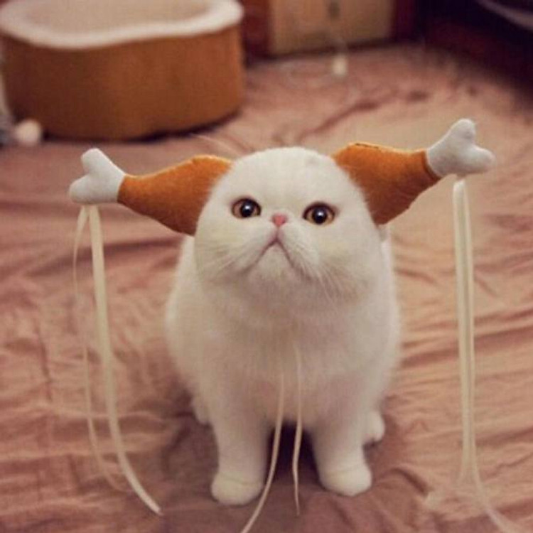 Dây đeo Hình đùi gà.