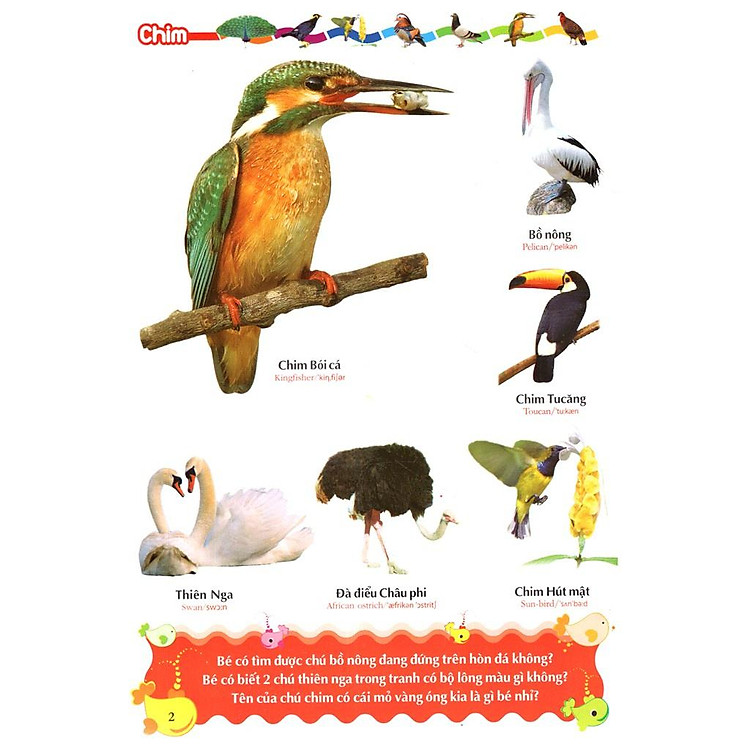 Từ Điển Tranh Về Các Con Vật - Ảnh 4