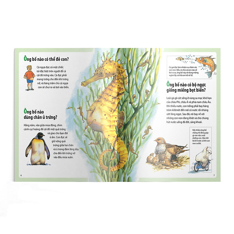 Em muốn biết vì sao – Kangaroo có túi và những câu hỏi khác về con non - Ảnh 5