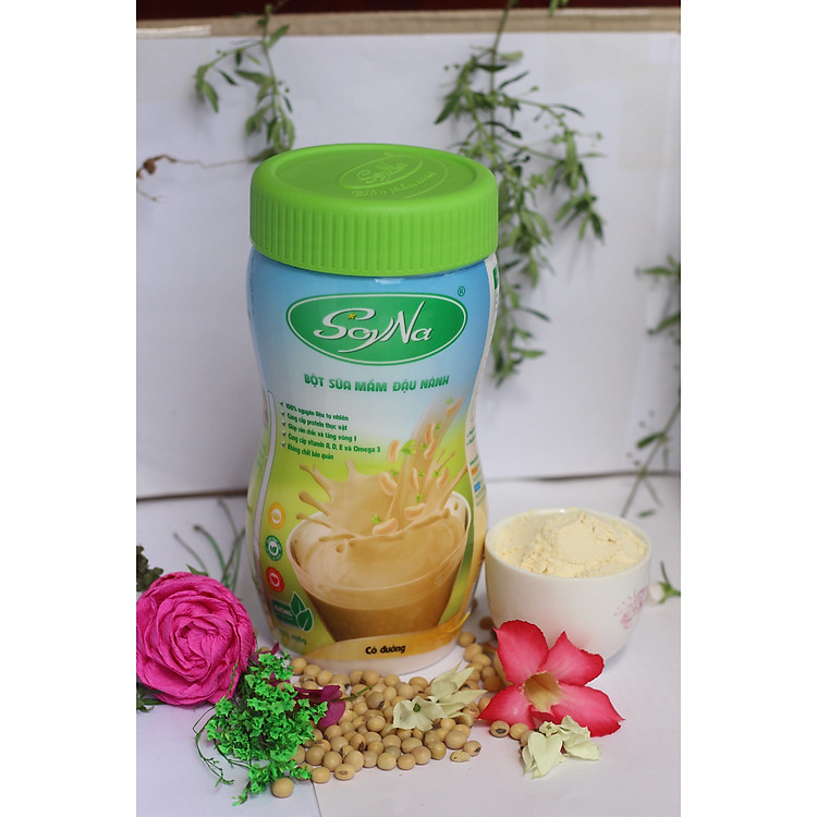 Combo 02 bột sữa mầm đậu nành SoyNa