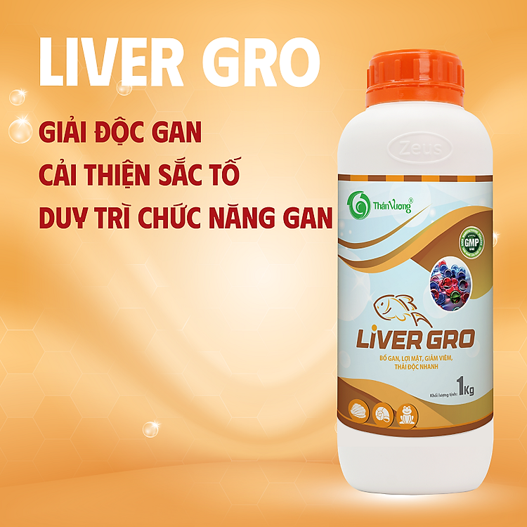 LIVER GRO - Bổ gan, lợi mật, giảm viêm, thải độc nhanh