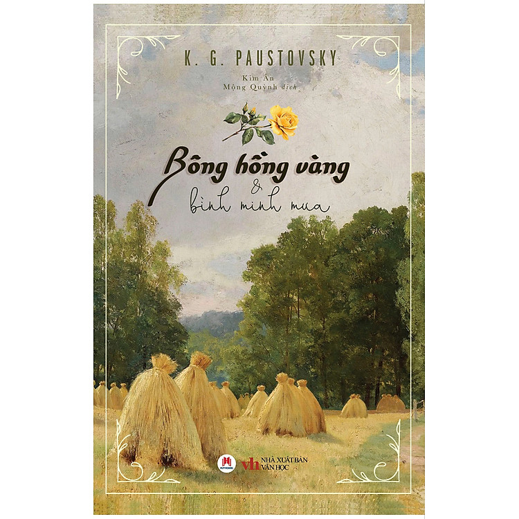 Bồng Hồng Vàng Và Bình Minh Mưa